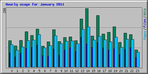 Hourly usage for January 2011
