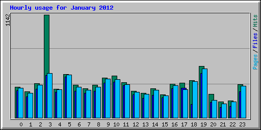 Hourly usage for January 2012