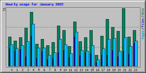 Hourly usage for January 2022